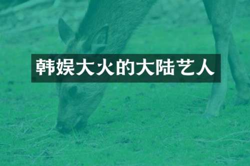 韩娱大火的大陆艺人