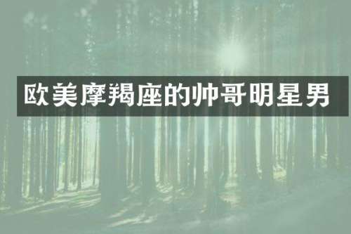欧美摩羯座的帅哥明星男