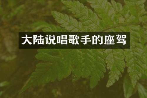大陆说唱歌手的座驾