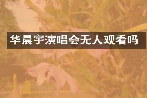 华晨宇演唱会无人观看吗