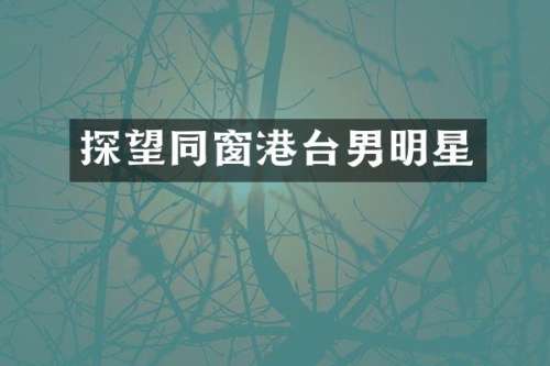 探望同窗港台男明星