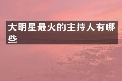 大明星最火的主持人有哪些
