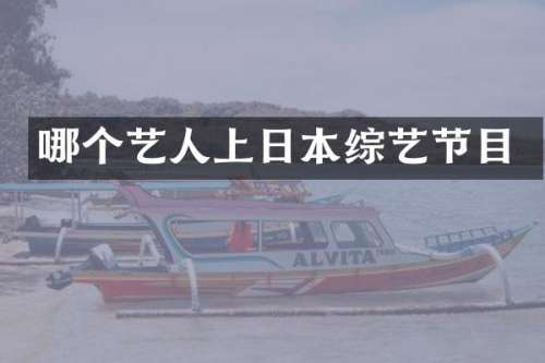 哪个艺人上日本综艺节目