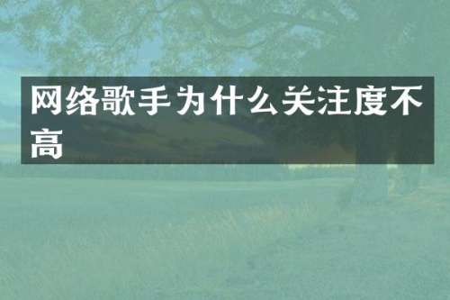 网络歌手为什么关注度不高