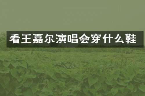 看王嘉尔演唱会穿什么鞋