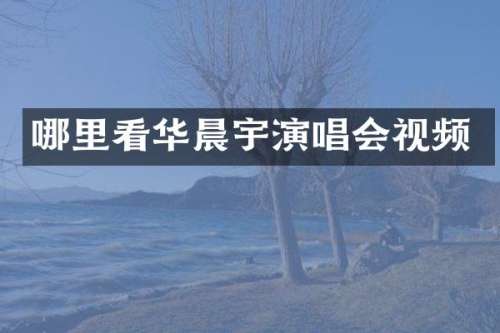 哪里看华晨宇演唱会视频