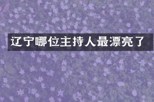 辽宁哪位主持人最漂亮了