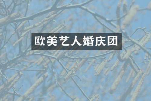 欧美艺人婚庆团