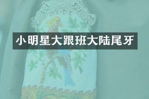 小明星大跟班大陆尾牙