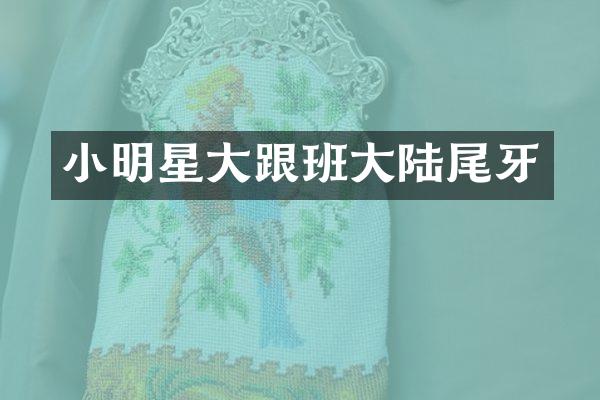 小明星大跟班大陆尾牙