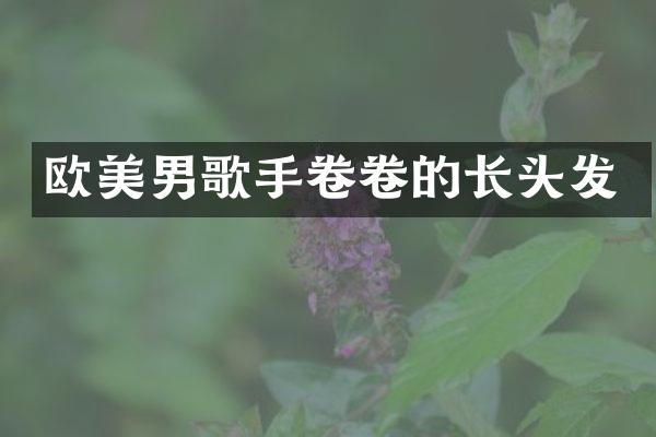 欧美男歌手卷卷的长头发