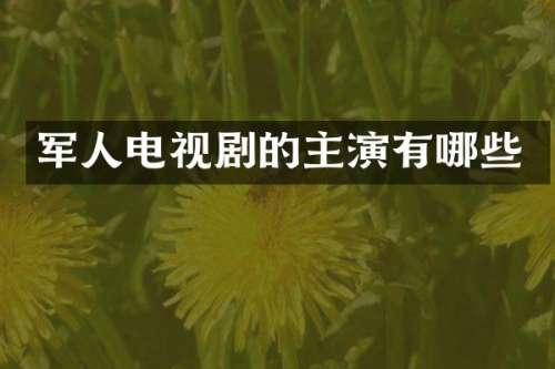 军人电视剧的主演有哪些