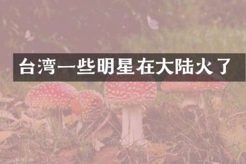 台湾一些明星在大陆火了
