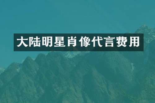大陆明星肖像代言费用