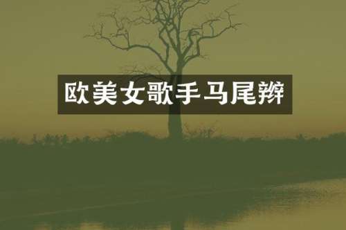 欧歌手马尾辫