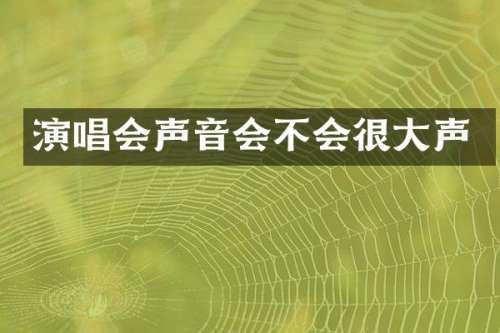 演唱会声音会不会很大声