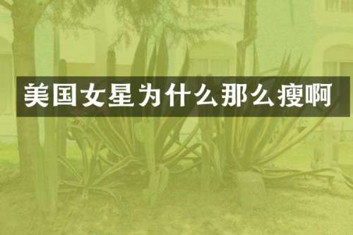 美国女星为什么那么瘦啊