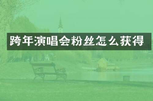 跨年演唱会粉丝怎么获得