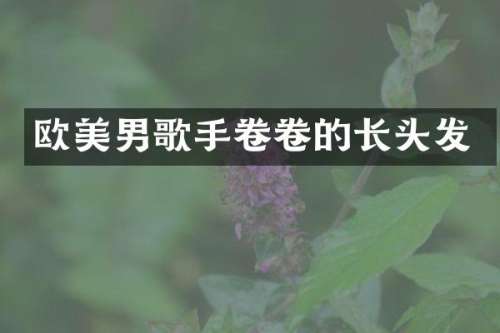 欧美男歌手卷卷的长头发