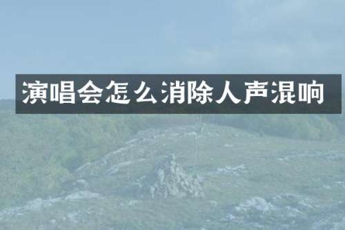演唱会怎么消除人声混响