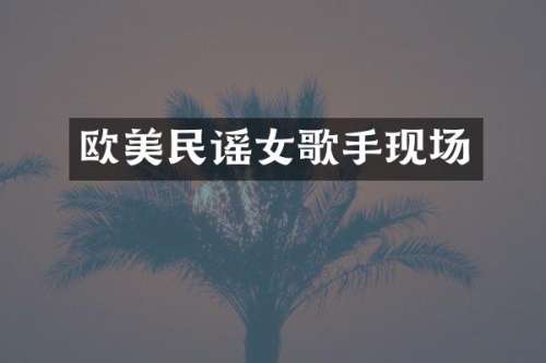 欧美民谣女歌手现场