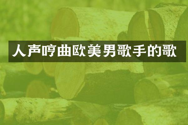 人声哼曲欧美男歌手的歌