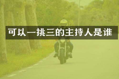 可以一挑三的主持人是谁