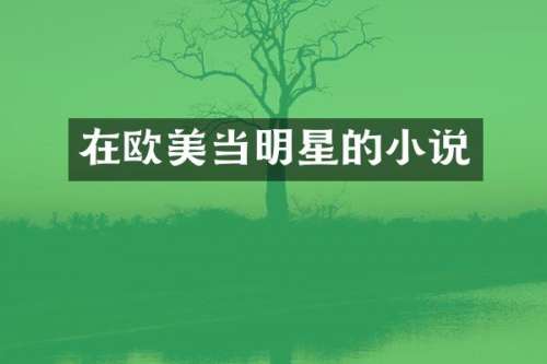在欧美当明星的小说