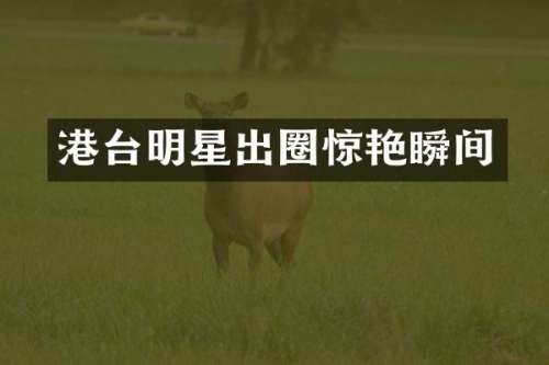 港台明星出圈惊艳瞬间