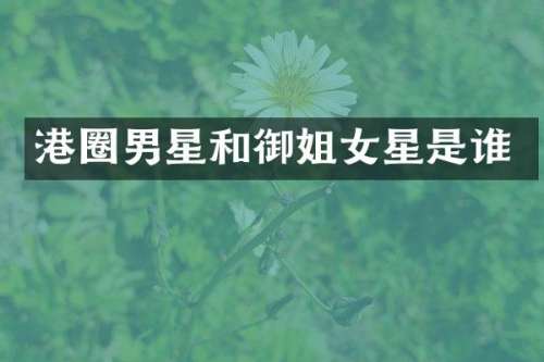 港圈男星和御姐女星是谁