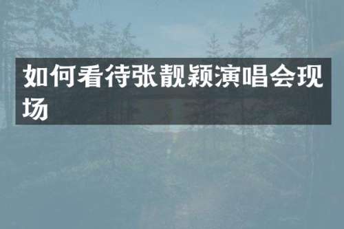 如何看待张靓颖演唱会现场