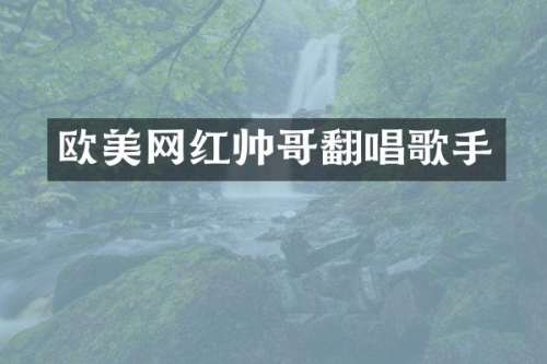 欧美网红帅哥翻唱歌手