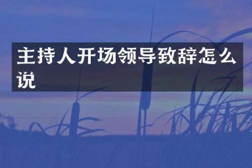 主持人开场领导致辞怎么说