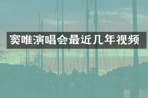 窦唯演唱会最近几年视频
