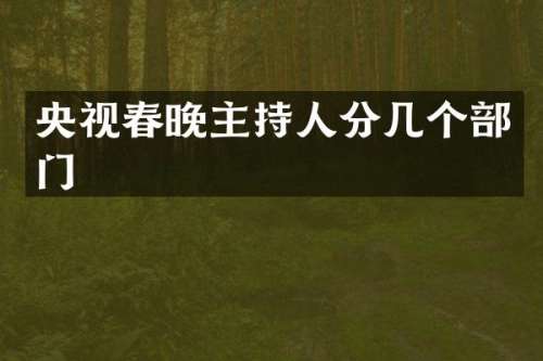 央视主持人分几个部门