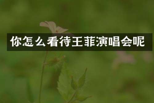你怎么看待王菲演唱会呢