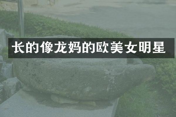 长的像龙欧明星