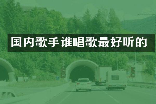 国内歌手谁唱歌最好听的