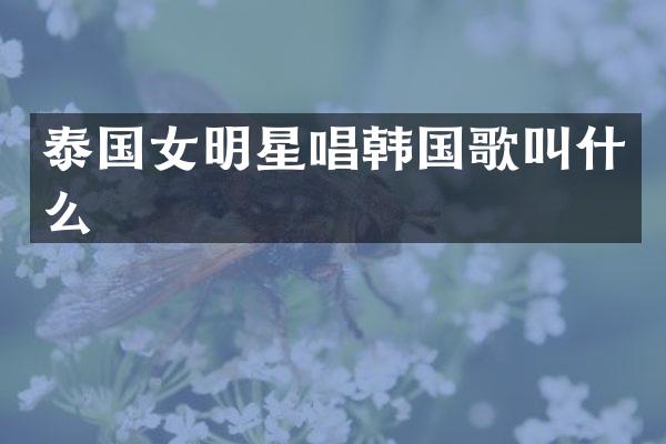 泰国女明星唱韩国歌叫什么
