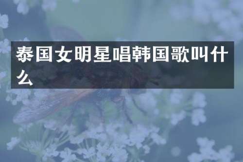 泰国女明星唱韩国歌叫什么