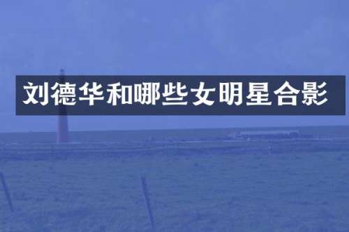刘德华和哪些女明星合影