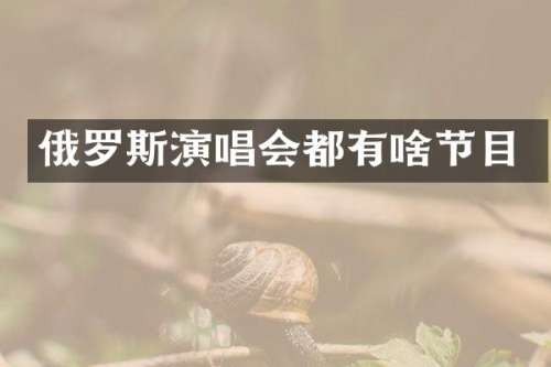 俄罗斯演唱会都有啥节目