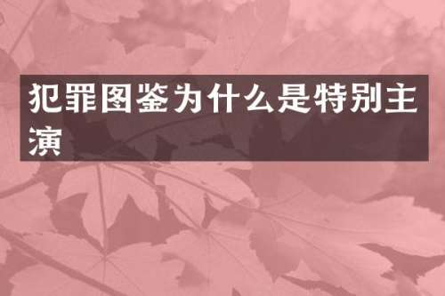 犯罪图鉴为什么是特别主演