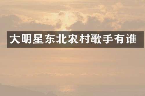 大明星东北农村歌手有谁
