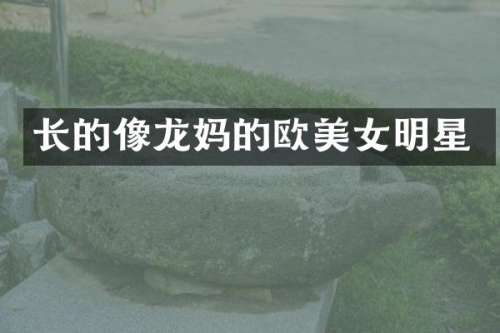 长的像龙欧明星