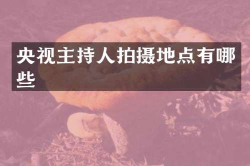 央视主持人拍摄地点有哪些