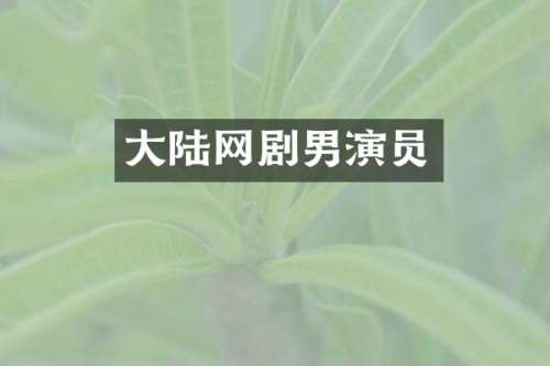 大陆网剧男演员
