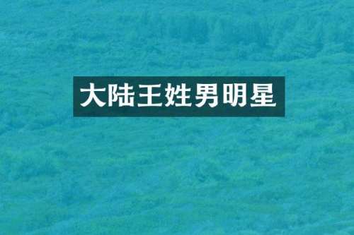 大陆王姓男明星