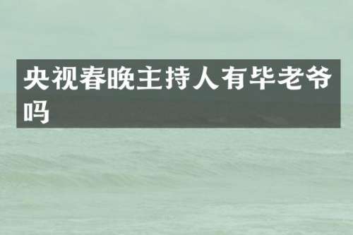 央视主持人有毕老爷吗