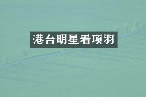 港台明星看项羽